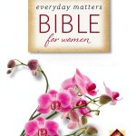 New Living Translation Bible Hendrickson eBook-0