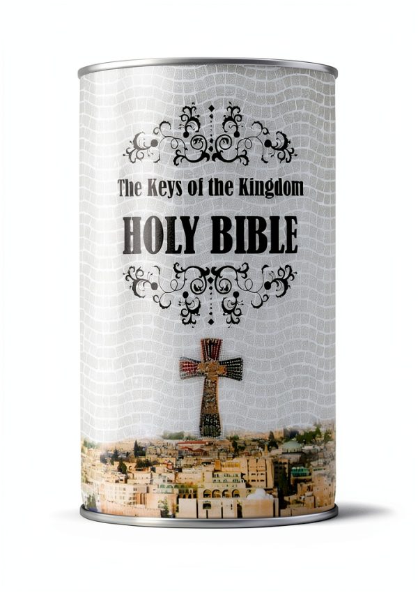New Living Translation Bible Kindle Edition Filament Publishing-0