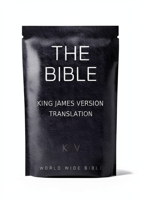 World Wide Bible Kindle Edition New Living Translation 2707 Page eBook-0