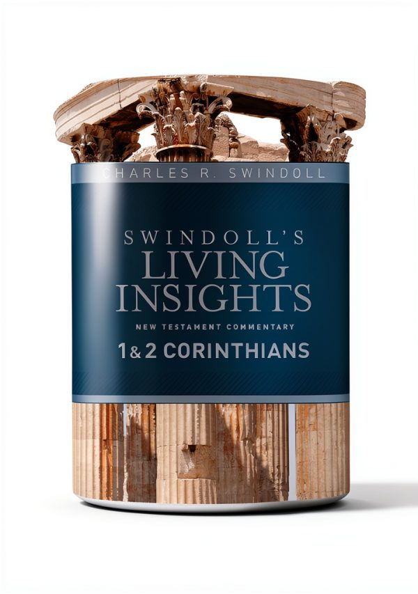 Swindolls Living Insights Testament 505‑Page Kindle eBook Tyndale-0